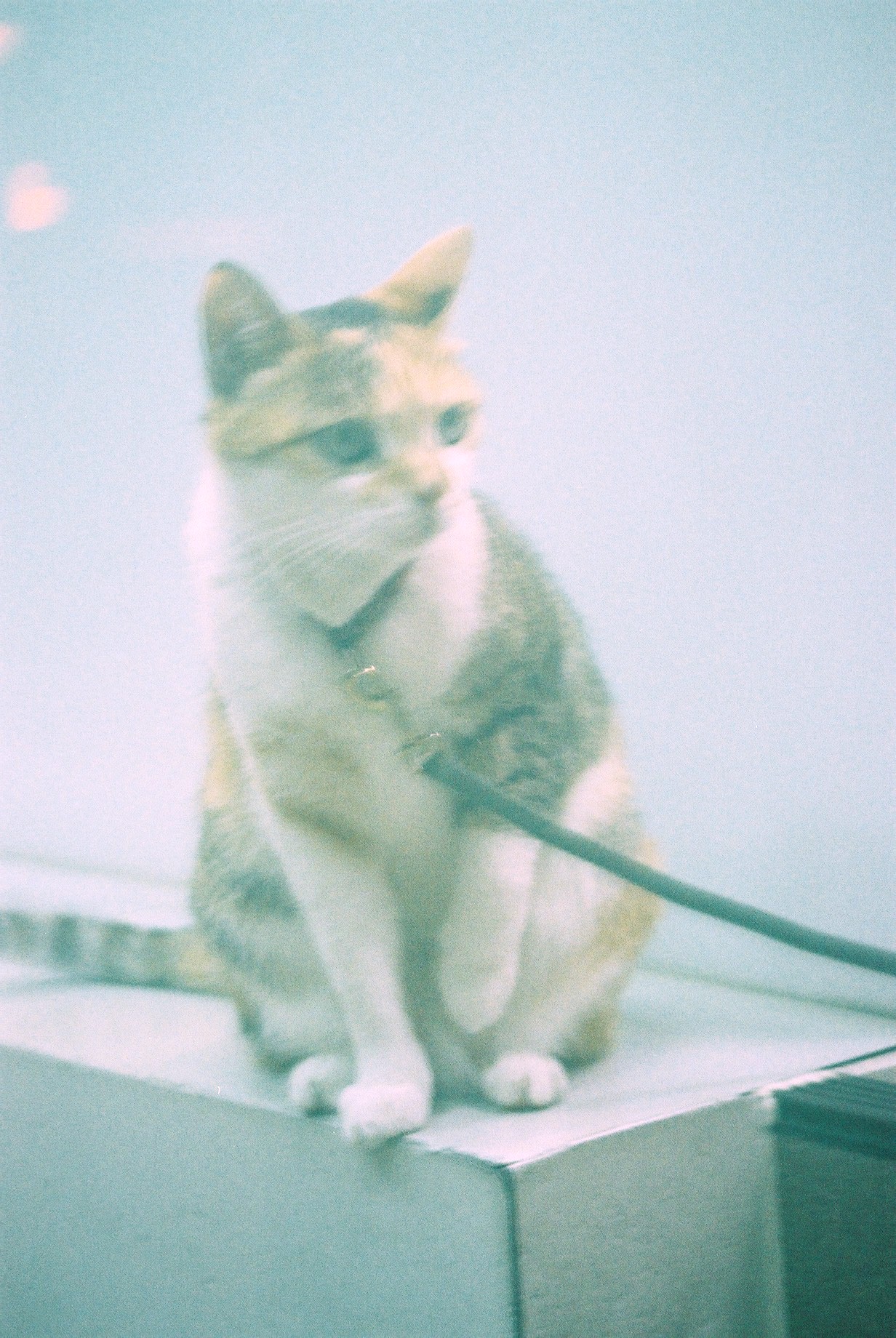 PictureERROR